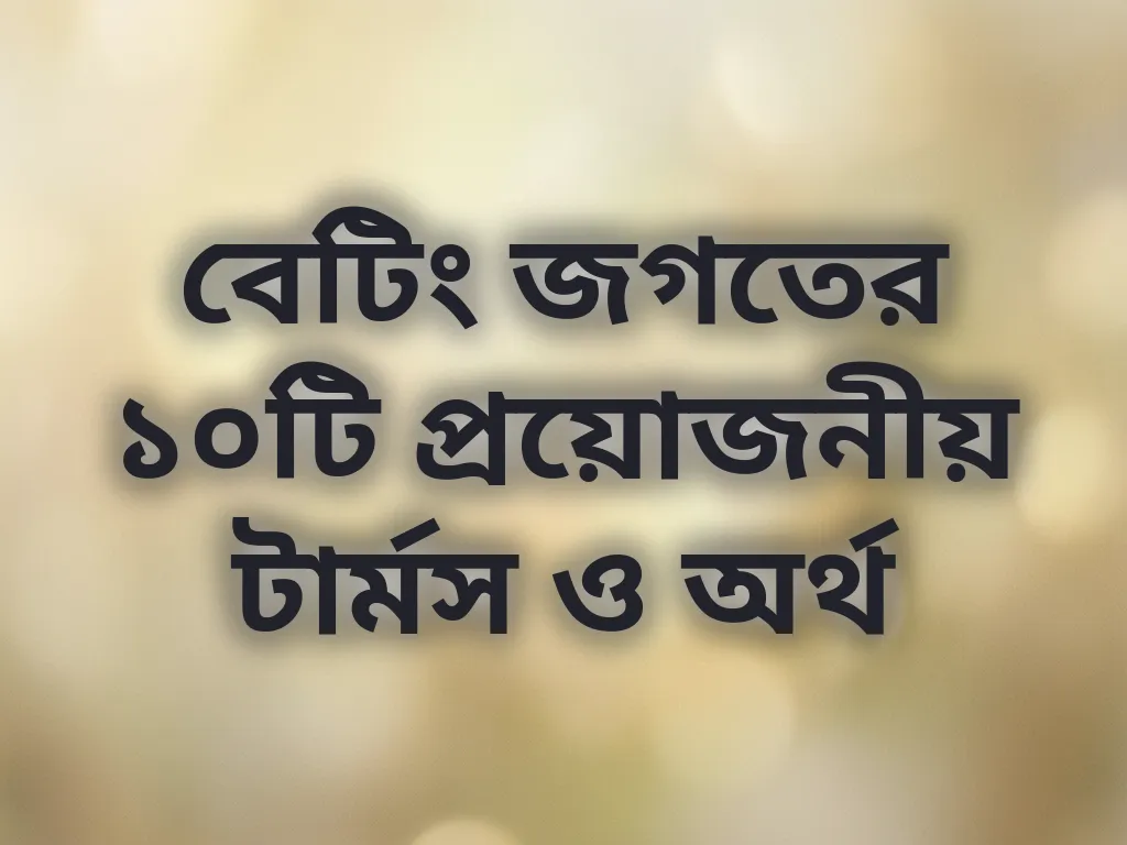 বেটিং টার্মস